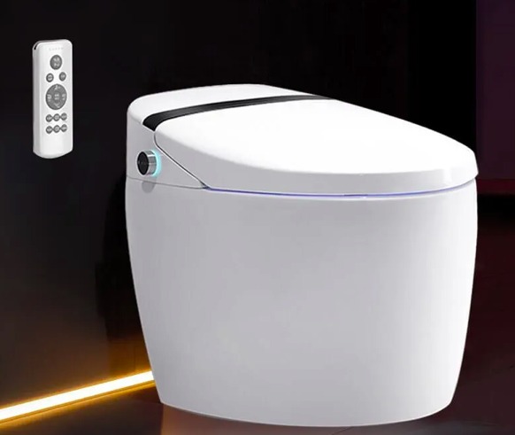WC japonais